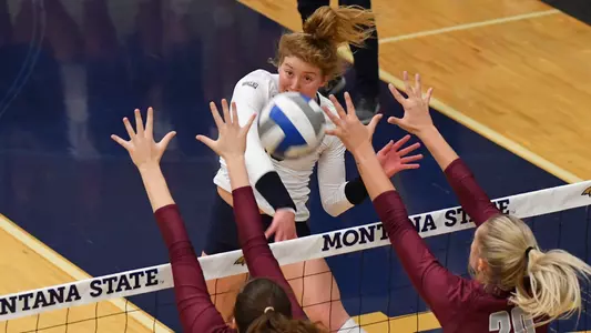 VB_18_SCOTT_KILL_UM_1