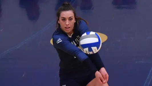 VB_18_RIZZO_DIG_GRIZ