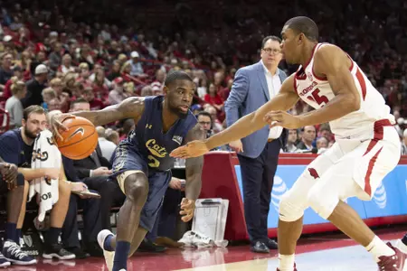 Blevins_Keljins_112118