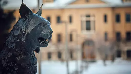 GEN-Bobcat_ACADEMICS