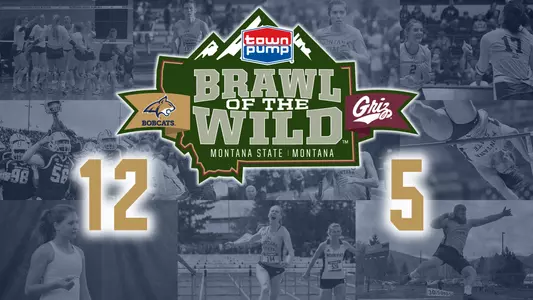 Brawl_Wild_Cover_2018