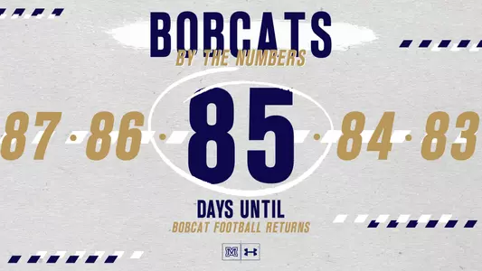 Number 85