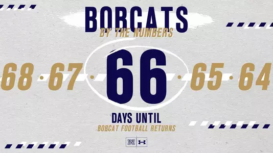 66