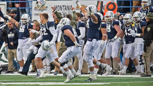 FB_SIDELINES_CAT_GRIZ_17