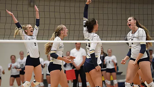 CATS VB WEB _2912