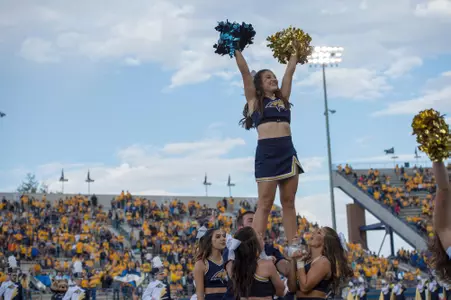 Cheer