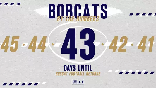 43