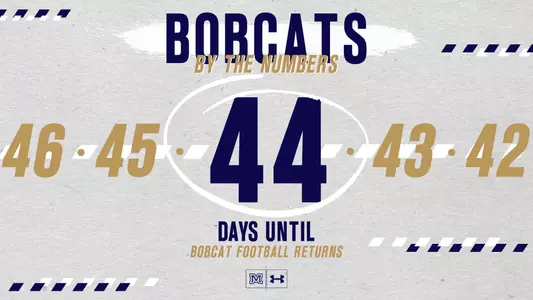 44