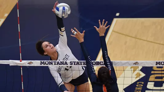 VB_WILSON_KILL_ILLINOIS