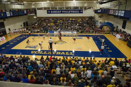 In this photo provided by Montana State University ... during an NCAA college football game against Weber State Saturday, September 30, 2017 in Bozeman, Mont. (Kelly Gorham/ Montana State University via AP)