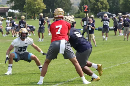 Bauman handoff
