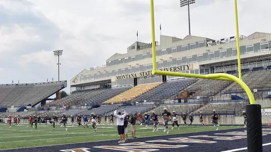Stadium Stretch