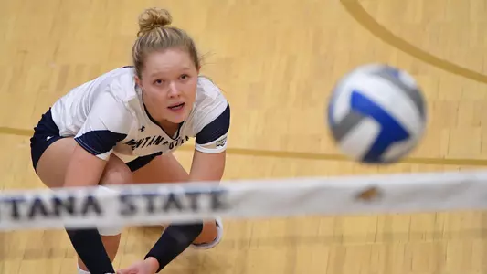 VB_18_GOROSKI_DIG_1_CC