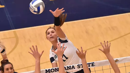 VB_18_WILSON_KILL_3_CC