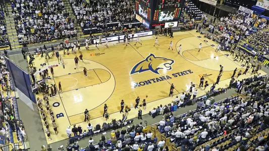 WBB_1819_CAT_GRIZ_AP