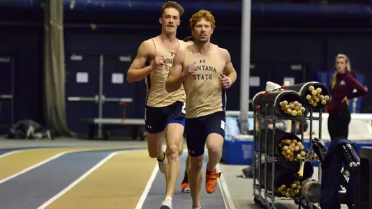 Neth_Thompson_Multis