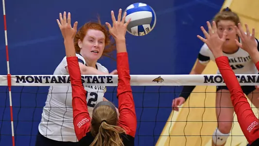 VB_19_PENCE_KILL_2_SU