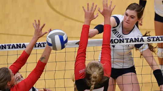 VB_19_WHITE_KILL_1_SU