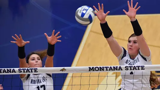 VB_19_WHITE_WILSON_BLK_1_SU