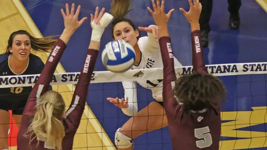 VB_19_WILSON_KILL_GRIZ_1_AP.