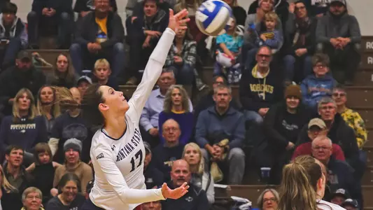 VB_19_WILSON_KILL_1_UM_GB