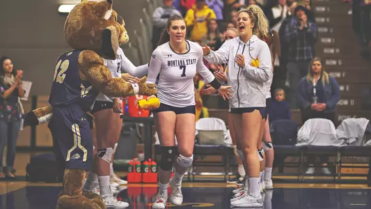 VB_19_WHITE_RUN_OUT_CAY_GRIZ_GB