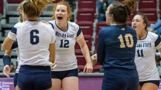 VB_19_CELEBRATION_MT