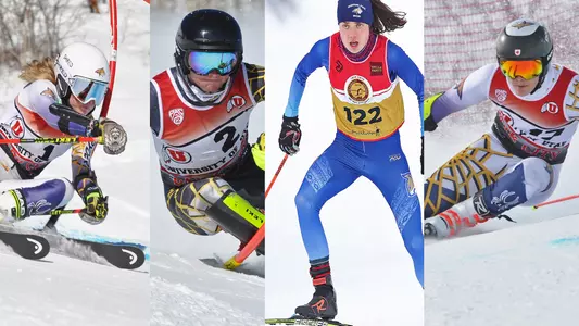SKI_2020_ALL_RIMSA_BOARD.jpg