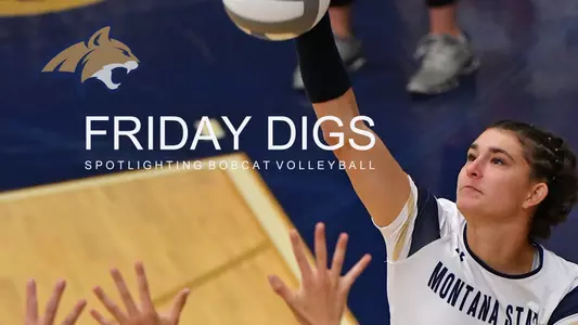 VB_FRIDAY_DIGS_MERKES