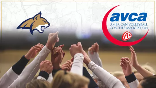 VB_2020_AVCA_ACADEMIC_BOARD