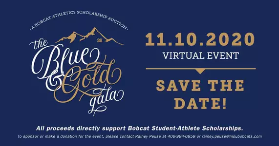 Blue & Gold Gala graphic