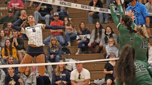 VB_21_THOMSEN_SWING_PSU.jpg