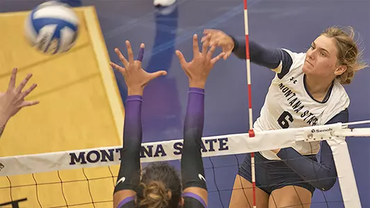 VB_21_THOMSEN_KILL_10.jpg