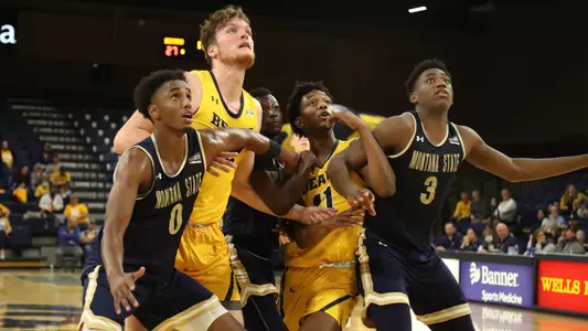 Bobcat Rebound