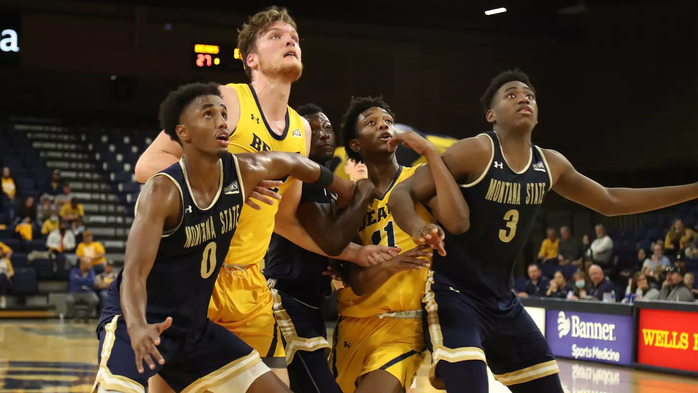 Bobcat Rebound