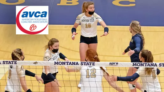 VB_21_AVCA_ACADEMIC.jpg