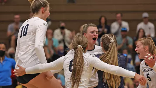 VB_21_CAT_S CELEBRATE_ARKANSAS.jpg