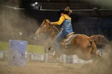 MSU women's rodeo barrel racer