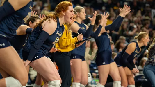 VB_23_CAT_GRIZ_CELEBRATION