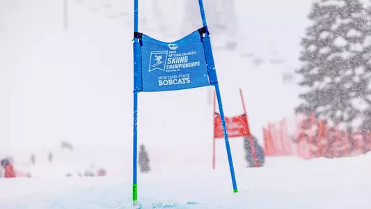 SKI_2223_GENERIC_BLUE_GATE_FILLER.jpg