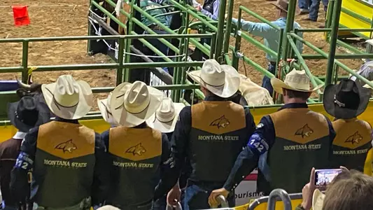 Vests