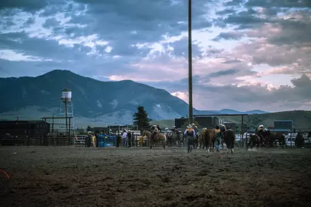 Rodeo Arena at Fairgrounds