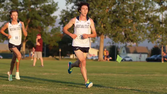 Matthew Richtmann_Bobcat Twilight