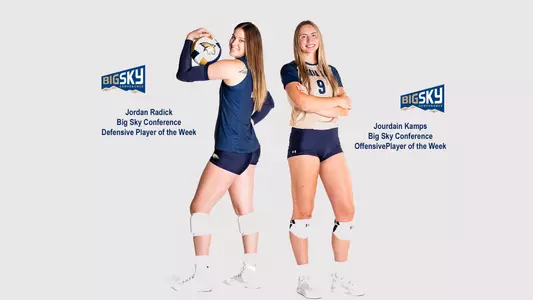 VB_24_POW_BOARD copy