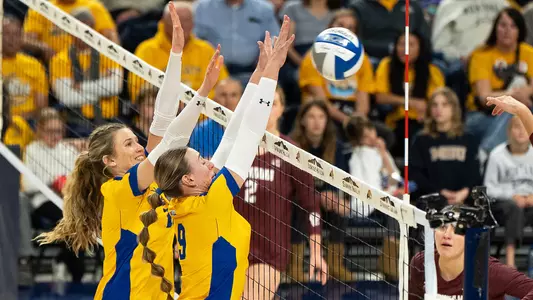 VB_24_BOBCAT_BLOCK_CAT_GRIZ_1