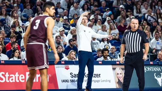 Matt Logie_Cat-Griz_1.20.24