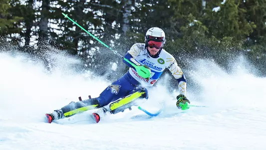 SLI_2324_STAURSET_DU_SL2