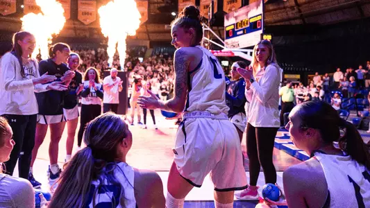 WBB_23224_CAT_GRIZ_INTRO_BRICK