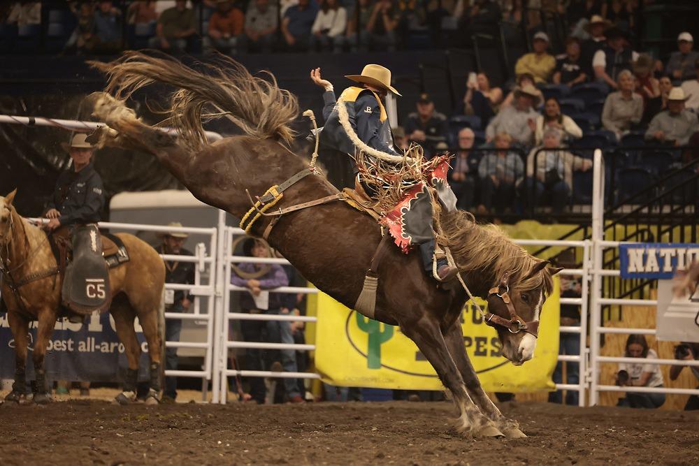 Cna Rodeo Bobcats Open CNFR on Sunday, Swing Into Full Gear Monday - Montana ...