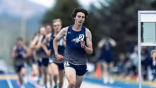 Matthew Richtman_MTRK_Cat-Griz Dual_4.5.24